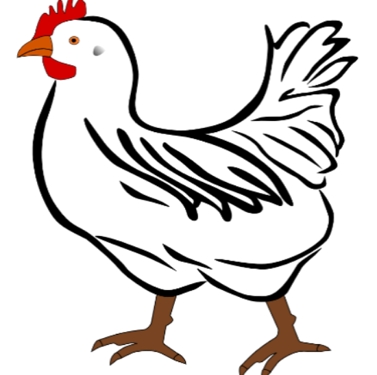 Image de Kapparot  Jeudi soir  pour une femme (ou une fille)