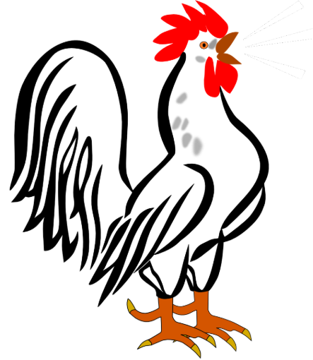 Image de Kapparot  Dimanche matin pour un homme (ou un garçon)